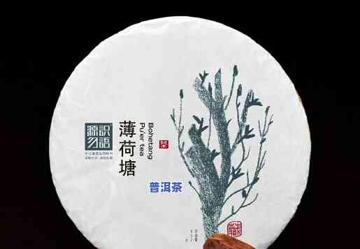 云南普洱茶十大名牌价格，探寻云南普洱茶的魅力：十大名牌及其市场价格一览