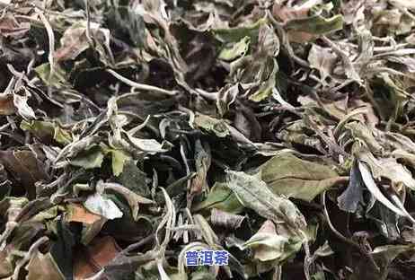 就喜欢普洱茶的理由，揭秘我为何对普洱茶情有独钟的五大理由