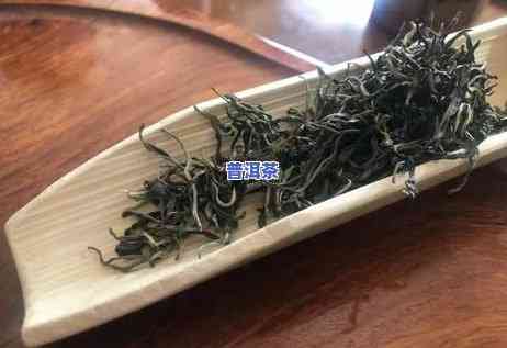 就喜欢普洱茶的理由，揭秘我为何对普洱茶情有独钟的五大理由