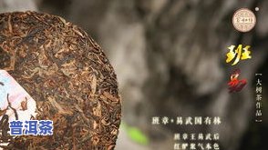 冰岛熟茶宝和祥-冰岛熟茶宝和祥茶哪个好