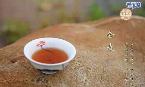 冰岛熟茶宝和祥-冰岛熟茶宝和祥茶哪个好