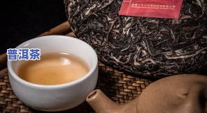 普洱茶大叶茶：品种、价格与小叶茶区别全解析