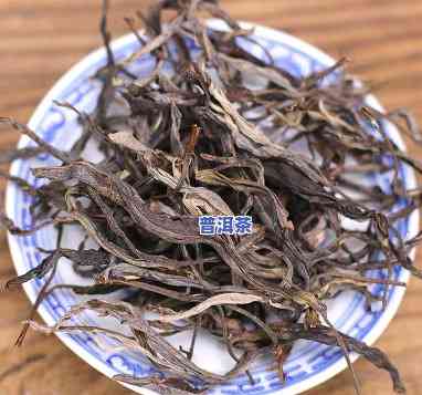 散大叶普洱茶-普洱茶大叶茶