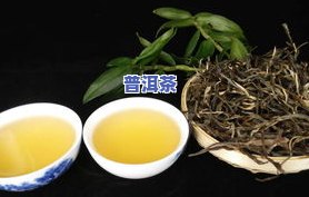 正宗冰岛乔木老树茶-正宗冰岛乔木老树茶多少钱