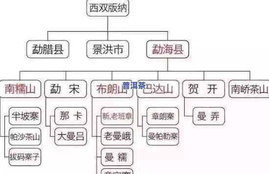 秘境古树普洱茶：产地、档次全解析