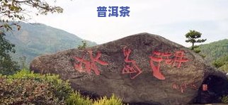 冰岛茶属于什么产区-冰岛茶属于什么产区的