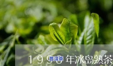 96年冰岛茶，回溯1996：探寻那年的冰岛茶香