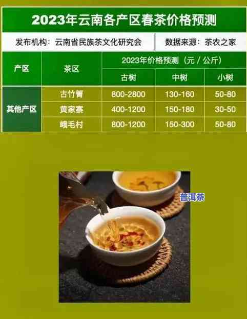 最新普洱茶头春茶价格表，全网最全价格汇总！