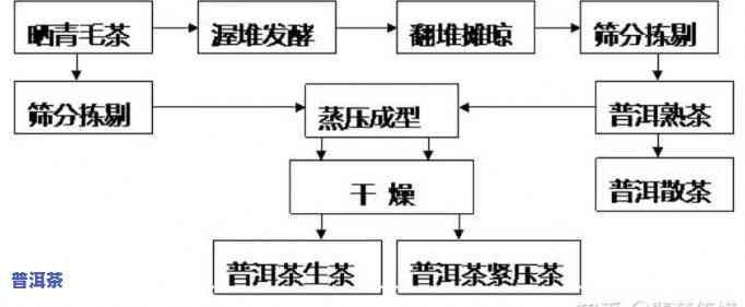 普洱茶知识普及：全面熟悉普洱茶的历史、制作工艺、品鉴方法及健康功效