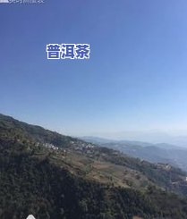 名山区普洱茶-名山区普洱茶厂地址