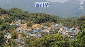 名山区普洱茶-名山区普洱茶厂地址