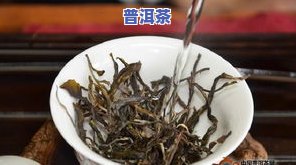 2019冰岛古树茶-2019冰岛古树茶多少钱一斤啊