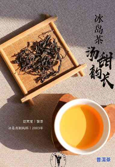 冰岛茶诗文，探寻冰岛茶的诗意世界：一次与自然的深度对话