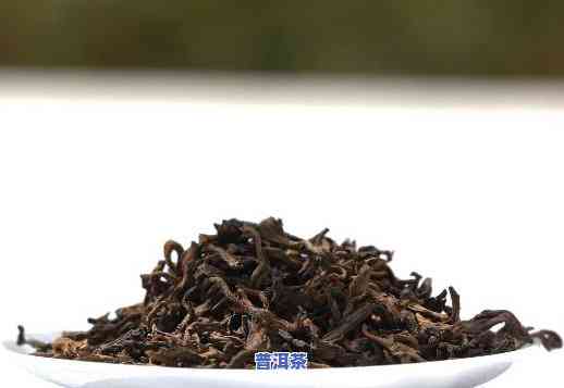 小树普洱茶特点，探索小树普洱茶的特别魅力：特点解析