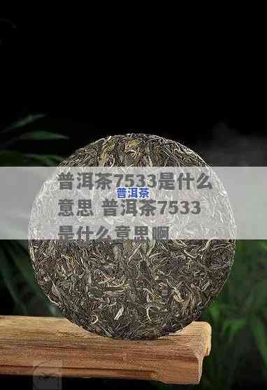 普洱茶8653是什么意思，解密普洱茶术语：8653的含义是什么？