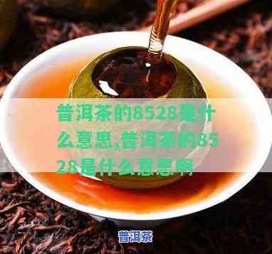 普洱茶8653是什么意思，解密普洱茶术语：8653的含义是什么？