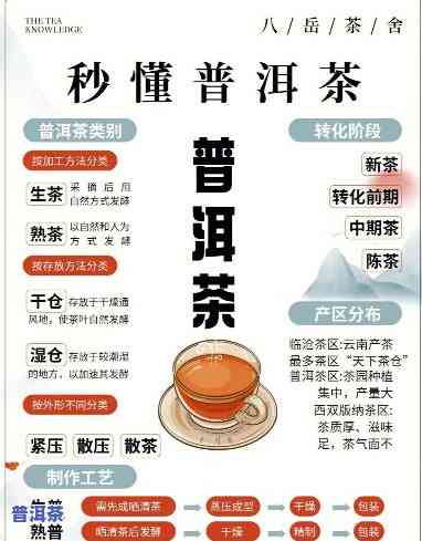 普洱茶8653是什么意思，解密普洱茶术语：8653的含义是什么？