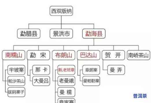 入坑普洱茶，初识普洱茶：探索这个迷人世界的入门指南