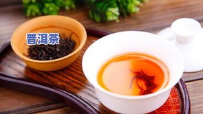 冰岛老寨茶的更佳储存方法：详细解析与实用技巧