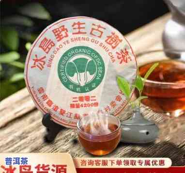 冰岛老树茶厂怎么样？全面评价与解析