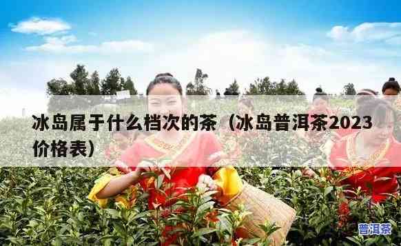 双江县冰岛茶：价格趋势与2023年预测