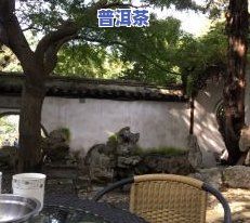 天下茶庄，品鉴天下茶庄：探索不同地域的茶文化与风味