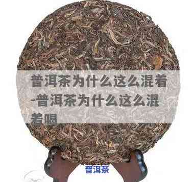 普洱茶混饮是什么？详解其含义与做法