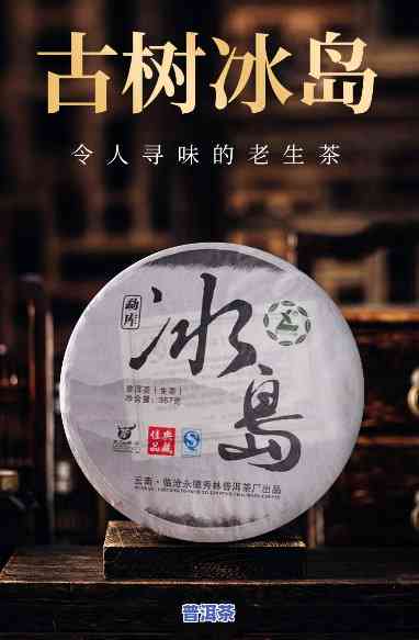 冰岛(生茶)2008年，探索历史：2008年的冰岛生茶