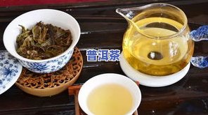 冰岛古韵普洱茶简介，探寻冰岛古韵：普洱茶的魅力与历史