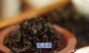 冰岛散茶能存放多久？揭开茶叶保存的秘密