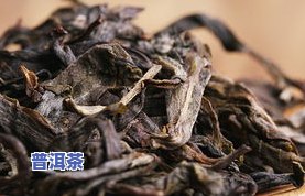 冰岛散茶能存放多久？揭开茶叶保存的秘密