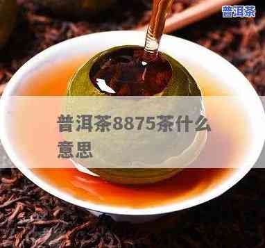 普洱茶863-普洱茶8633是什么意思