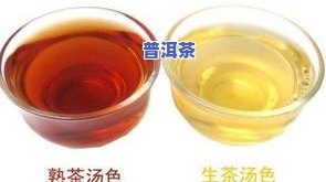 8592普洱茶熟茶：价格与2101年新品介绍