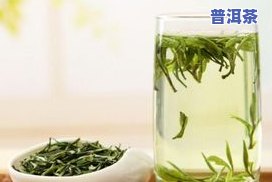 冰岛茶属于什么绿茶-冰岛茶属于什么绿茶类型