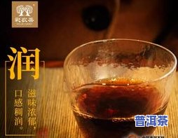 普洱茶岩韵是什么意思，探索普洱茶的岩韵：理解这一特别口感的关键