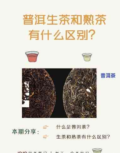 普洱茶：功效、作用及生茶VS熟茶比较