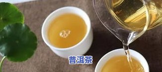 冰岛茶哪个更好最正宗，权威推荐：冰岛茶，哪个的口感最正宗？