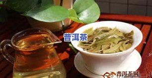 冰岛茶哪个更好最正宗，权威推荐：冰岛茶，哪个的口感最正宗？