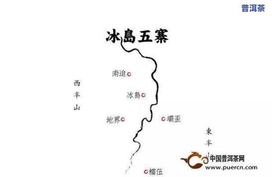 冰岛茶更好的：揭晓行业龙头