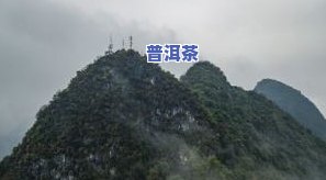 山岳寨普洱茶价格表及图片全览