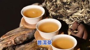 沐春普洱茶价格，探寻高品质生活：揭秘沐春普洱茶价格