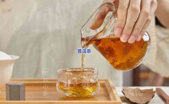 普洱茶倒茶分茶顺序，普洱茶冲泡步骤详解：倒茶、分茶顺序不可忽视！