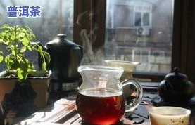 普洱茶存茶的好处：熟悉其优点与留意事项