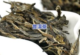 冰岛老树是什么茶，探索神秘的冰岛老树：一种特别的茶叶品种