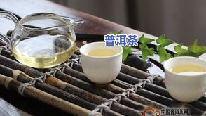 大普洱茶饼怎么喝，大普洱茶饼的正确冲泡方法与品尝技巧