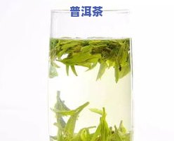 冰岛老树茶价格，探究冰岛老树茶的价格：一款珍贵的茶叶值多少钱？