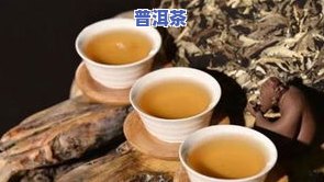 普洱茶王树龄：探寻云南普洱茶王树的价值与价格