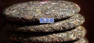 云南茶树王普洱经典，探寻云南茶树王：普洱经典的源头与魅力