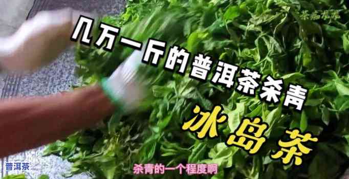 冰岛茶开秤真实视频-冰岛茶制作工艺视频