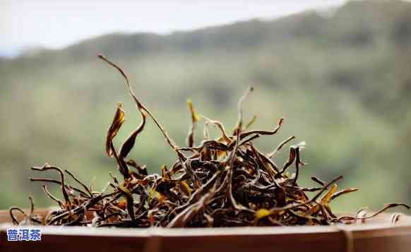 普洱茶收割者-普洱茶收割者是谁